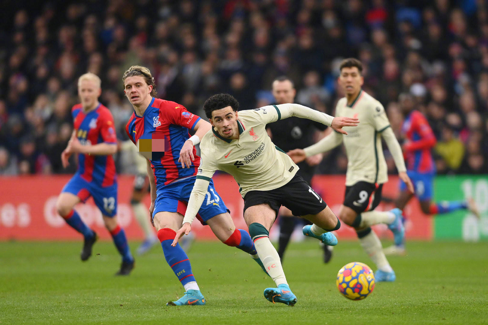 为每位选手 为每位选手